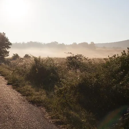 Grand Balaton House Kovagoors