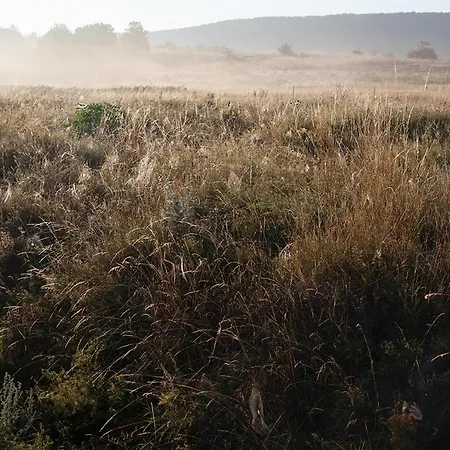 Grand Balaton House Holiday home Kovagoors