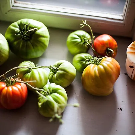 Holiday home Grand Balaton House Kovagoors