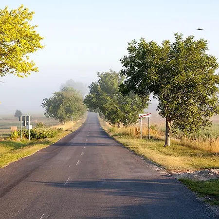 Grand Balaton House Kovagoors