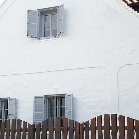 Holiday home Grand Balaton House Kovagoors