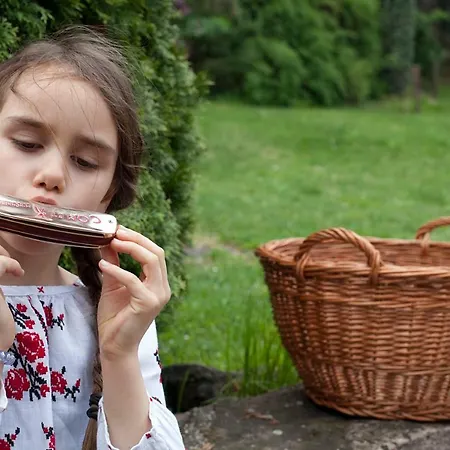 Casa de Férias Grand Balaton House