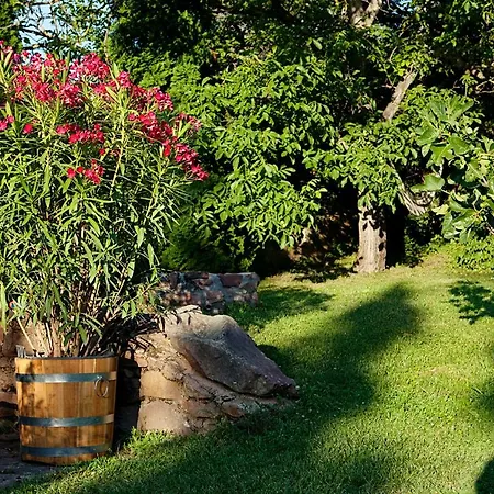 Grand Balaton House Дом отдыха Kovagoors