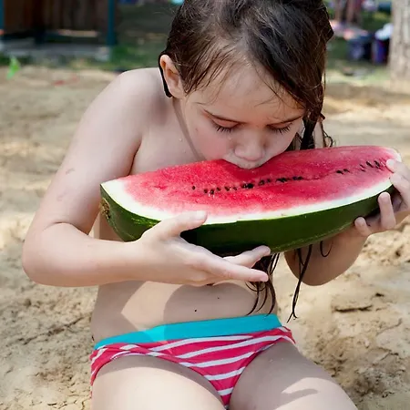 Grand Balaton House * Kovagoors