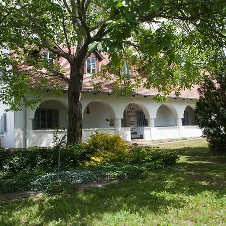 Grand Balaton House * Kovagoors