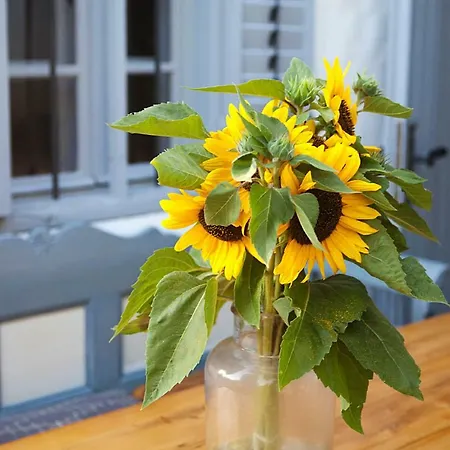 Grand Balaton House *