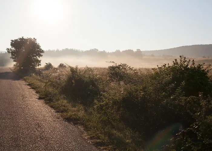 Grand Balaton House Kovagoors