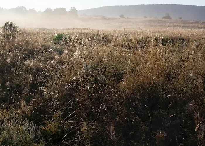 Grand Balaton House Vakantiehuis Kovagoors