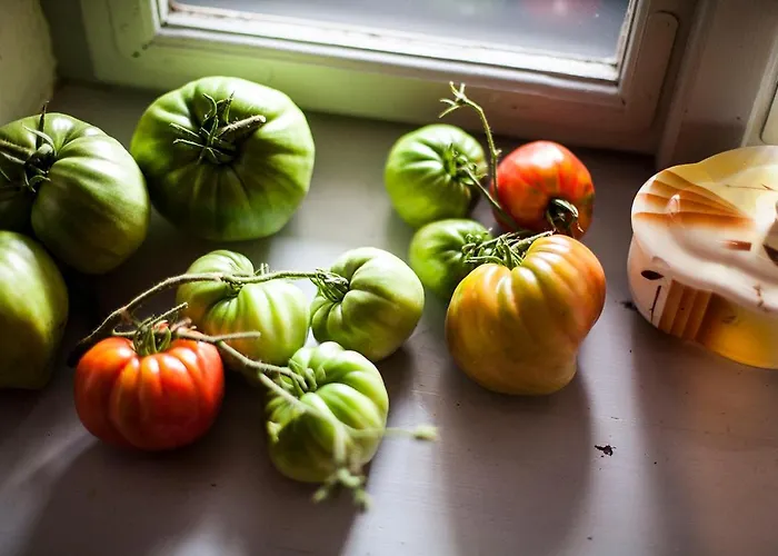 Vakantiehuis Grand Balaton House Kovagoors