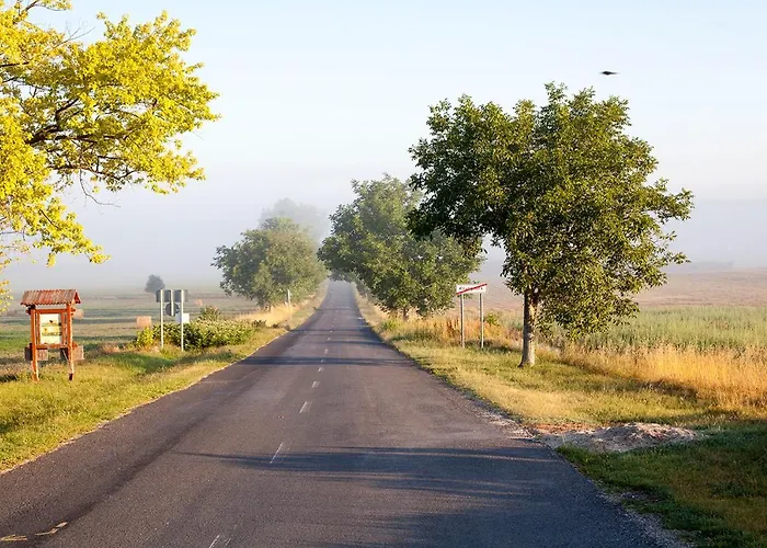 Grand Balaton House Kovagoors