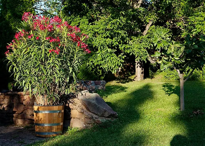 Grand Balaton House Vakantiehuis Kovagoors