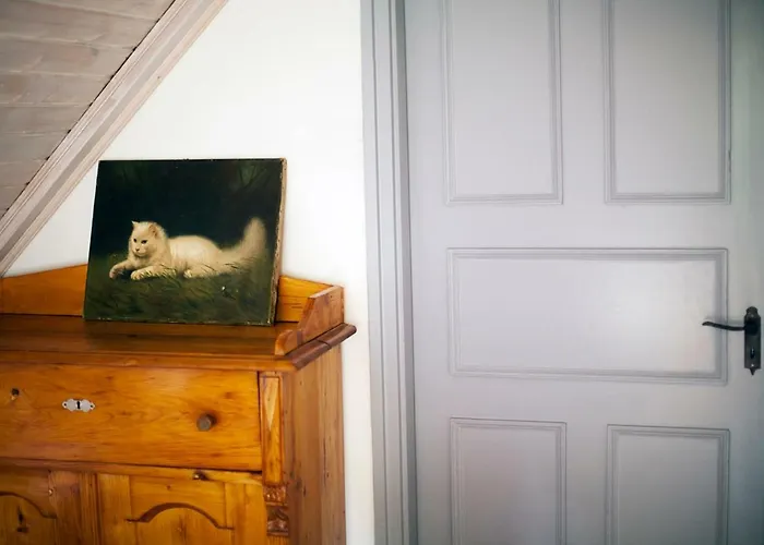 Vakantiehuis Grand Balaton House Kovagoors