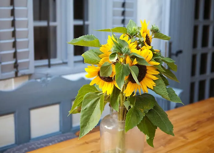 Grand Balaton House *